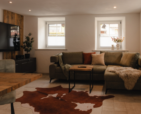 Wohnraum mit Schlafcouch und Smart TV im Chalet Style